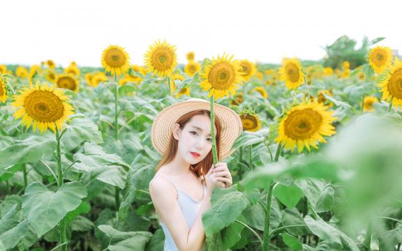 电磁炉功率调节原理(美的电磁炉间歇加热功率调节电阻小功率大)