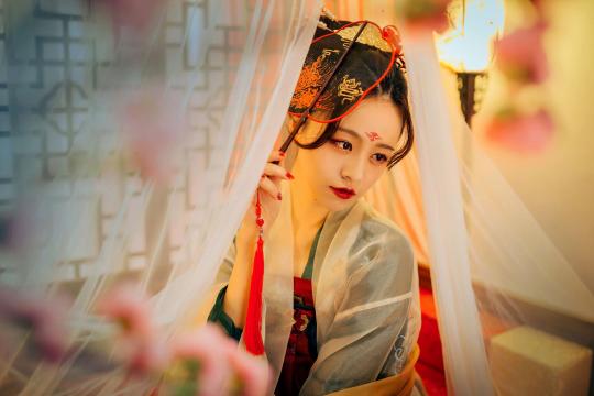 松下gx9与奥林巴斯(相机入门哪个品牌最好的)