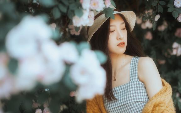美的单燃气灶价格(美的液化气燃气灶内外喷火嘴直径各多少)