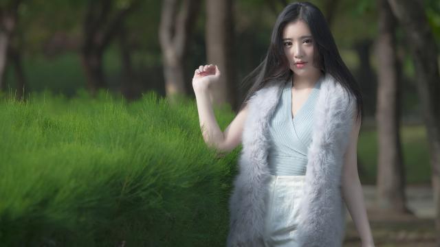 探究樱雪厨电在十大品牌中的地位