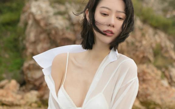 音响线哪个牌子好(音频线什么牌子音质好)