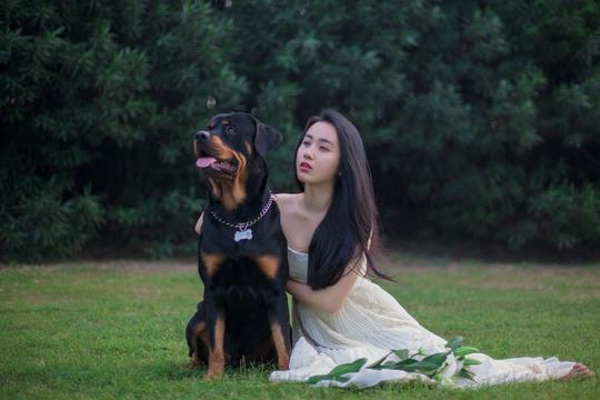 倍科洗衣机和西门子哪个好(倍科洗衣机怎么样？和西门子、博世比呢？哪个好？)