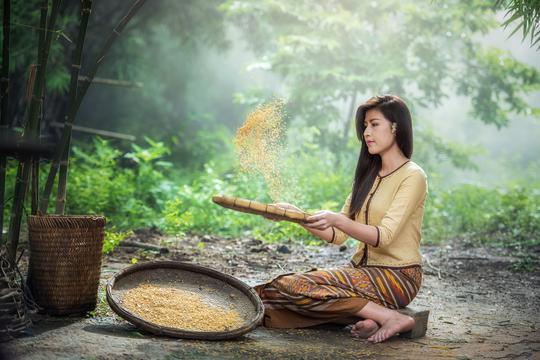 冰箱疏通器怎么使用？(冰箱疏通器怎么用)
