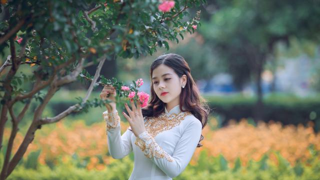 洗碗机选购指南：关注哪些细节才能买到最好的产品