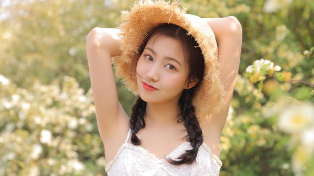 sonic是什么意思(sonic中文啥意思)