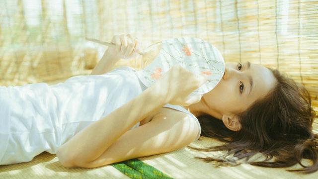 阿里斯顿双电机抽油烟机(阿里斯顿抽油烟机)