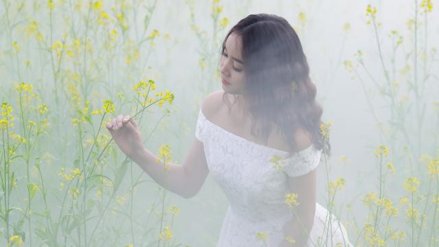 电脑数据恢复服务费用如何计算？