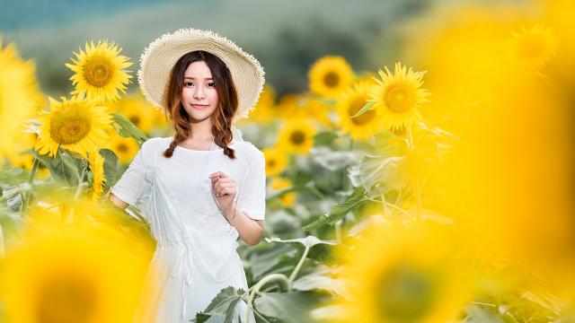 进口组合音响什么牌子音质好(进口插卡小音箱有什么好的品牌？)