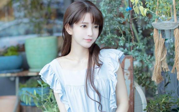 珍爱物美价廉选美短猫不再贵