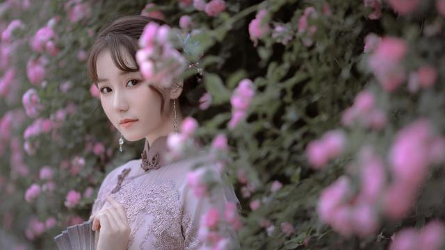 奔腾电磁炉不通电要怎么修理(奔腾电磁炉怎么修)