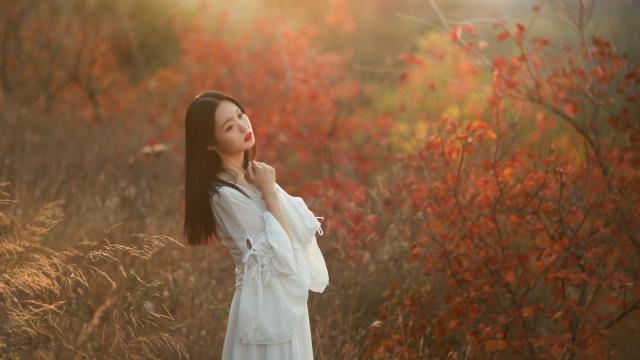 美的电压力锅各档时间(美的压力锅各个模式时间)