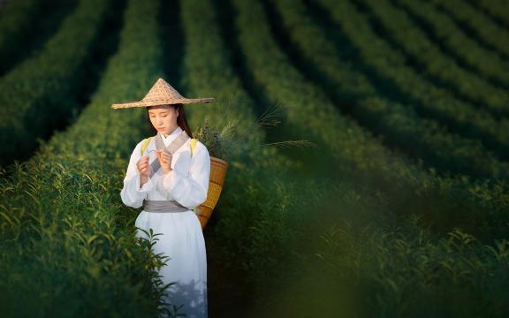 小度智能机器人二维码(小度智能屏如何打开二维码？)