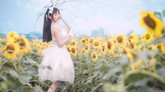 索尼相机怎么看型号(索尼相机怎么查询序列号呢？)