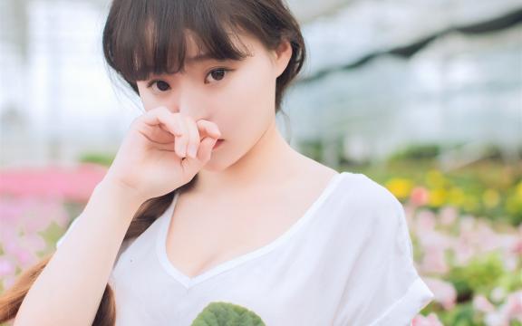 维修协议和维修合同(协议和方案的区别是什么？)