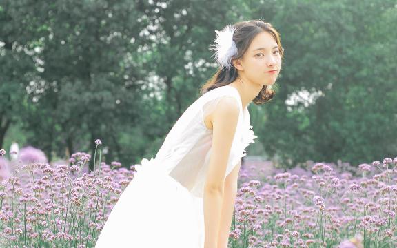 制冷设备原理与维修的总结(制冷家电维修)