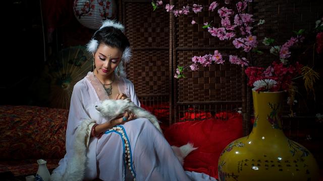 每周股票复盘：COB技术成LED显示关键，雷曼光电（300162）推进玻璃基产品试产