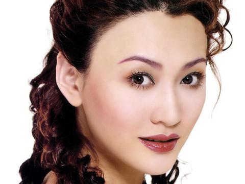 一体两用，灶具新时代：揭秘气电两用灶的核心技术