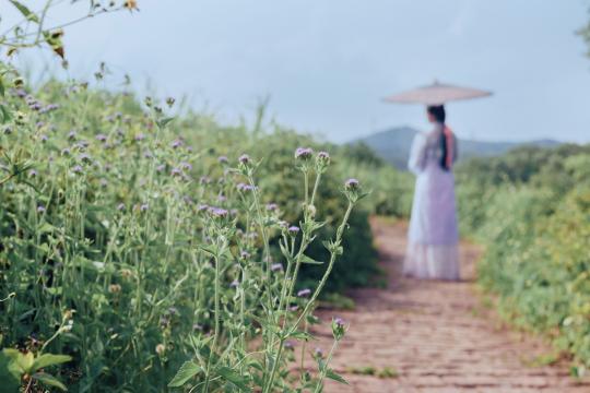 廊坊菲斯曼壁挂炉维修(菲斯曼壁挂炉有什么故障及解决方法？)