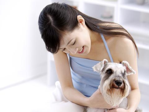 太阳能路灯灯杆：绿色照明新时代