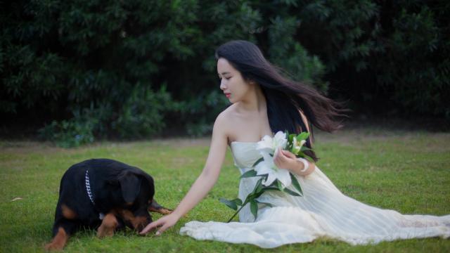 无叶风扇容易坏吗(无叶风扇有哪些缺点呢？)