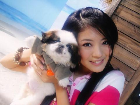 森歌集成灶怎么样排名(集成灶牌子排名前十名)