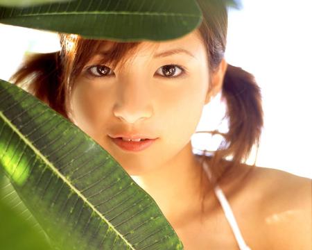 路虎卫士新能源车评测(路虎卫士汽车测评？)