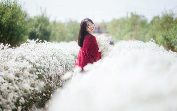 格林格抽油烟机多少钱一台(抽油烟机格林格好吗？)